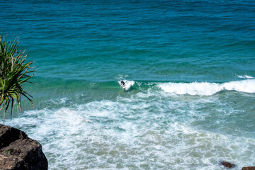 surfing