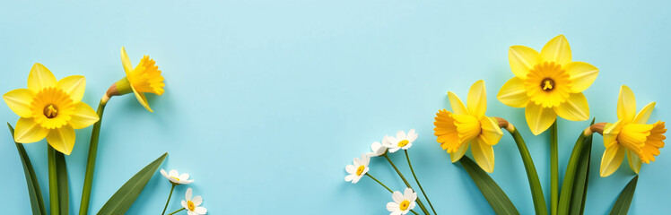 Obraz premium Fresh Daffodils In Full Bloom Bring Charm To Any Setting, Especially When Paired With Pastel Blues And Delicate Florals Like Gypsophila.