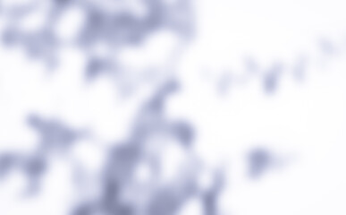 Shadow of leaves tree plant overlay on blue gray wall. Sunlight effect shadow on the wall. Minimal blurred backdrop backgrounds. Summer tropical surface background