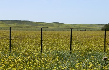 paisajes de la naturalez y del campo