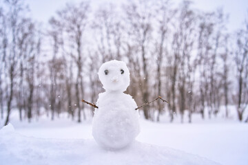 Handmade of snowman in front of dry trees in hokkaido japan , Winter snow season for travel.