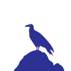 Fototapeta premium Majestic Vulture Silhouette Perched on Rock Against White Background