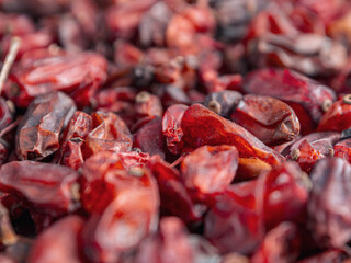 Bright barberries in the background, creating an atmosphere of freshness and natural beauty.