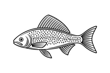 Fototapeta premium Arctic Grayling fish vector on a white background, fish silhouette