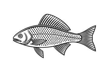 Fototapeta premium Arctic Grayling fish vector on a white background, fish silhouette
