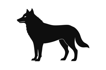 wolf vector illustration