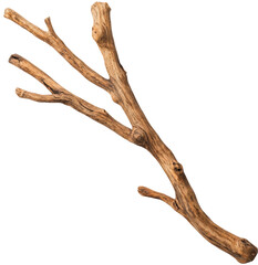 Dry branch displays natural texture and rustic charm