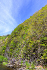 北海道上士幌町、音更川左岸に屹立する水成岩からなる屏風岩【5月】