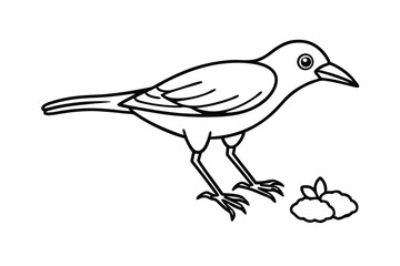 a clark's nutcracker forgets where it buried its w 