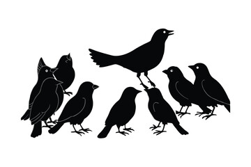 A common grackle forms a gang with cowbirds what m