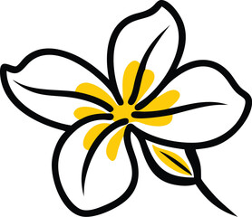 Amaryllis, Aster, Begonia, Camellia, Calla Lily, Anemone, Azalea, Gardenia, Petunia, Hydrangea, Geranium, Freesia, Primrose, 
Ranunculus, Bluebell, Buttercup, Violet, Morning Glory, Pansy, Cosmos