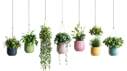 Hanging Planters with Variety of Plants: Seven stylish hanging planters, each showcasing a different vibrant green plant, add a touch of nature's beauty to any modern interior.