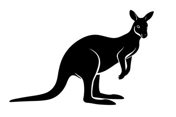 kangaroo vector illustration