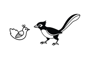Fototapeta premium a steller s jay outsmarts a squirrel for the last 