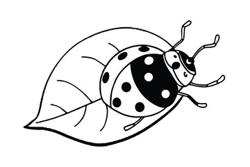 a tiny ladybug on a leaf       