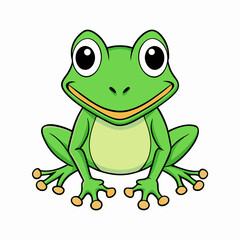frog on white background