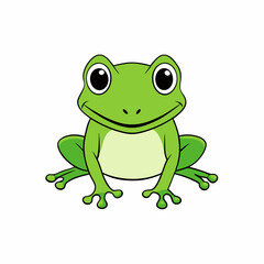 frog on white background