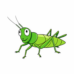 green grasshopper isolated on white background