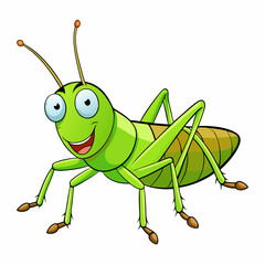 green grasshopper isolated on white background