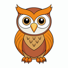 owl on white background