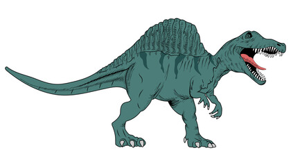 Tyrannosaurs Rex or dinosaur in a roaring pose. Illustration and vector template isolated background.