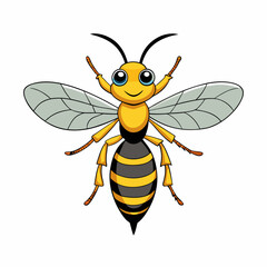 bee on white background