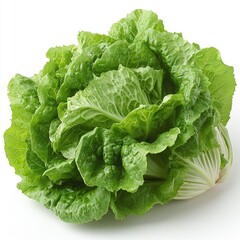 Fototapeta premium Fresh, vibrant green leafy vegetable