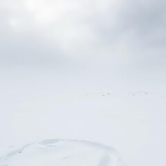 Blinding snow obscures a desolate, windswept landscape; stark white wilderness, snowdrift, remote, weather