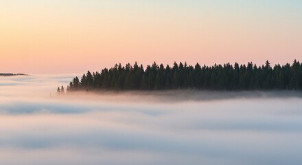 Obraz premium Serene Sunrise: Coniferous Island in a Sea of Fog