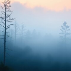 Obraz premium Ethereal blue mist shrouds a tranquil dawn forest, serene atmosphere, landscape, rural, atmosphere