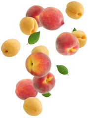 Ripe peaches and apricots falling on white background