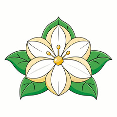 yellow flower isolated on white background