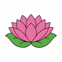 lotus flower vector illustration