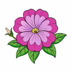 pink flower isolated on white