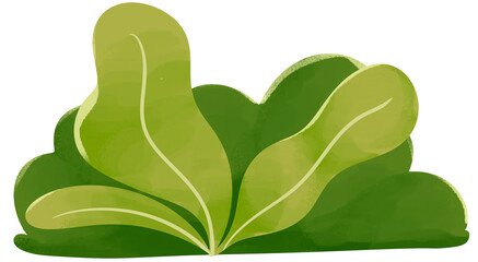 Fototapeta premium Green Bush Plant