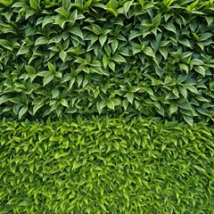 Lush Green Leafy Hedge Texture