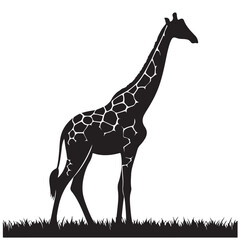 Giraffe silhouette isolated on white background Vector illustration