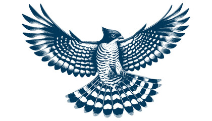 baza bird vector