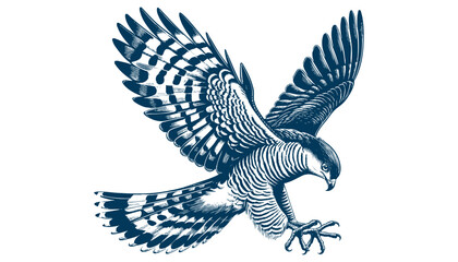baza bird vector