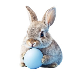 Cute easter bunny holding egg adorable rabbit spring animal pet celebration holiday season easter time on transparent background