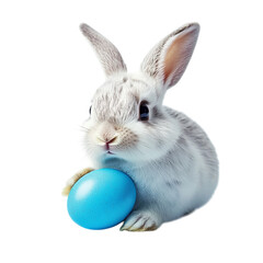 Easter bunny with blue egg cute rabbit spring holiday animal pet adorable fluffy easter celebration art 100 on transparent background