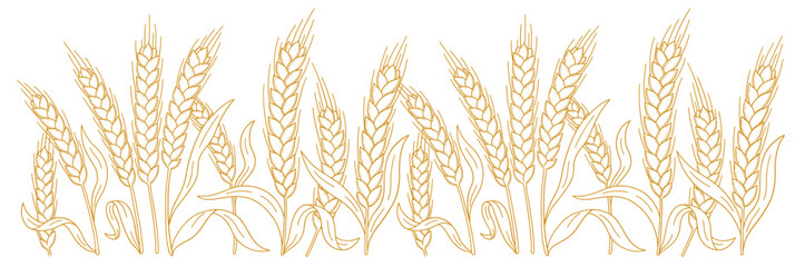 Hand-Drawn Hatched Wheat and Rye Stalks Vector Illustration for Flour Packaging © Ilia