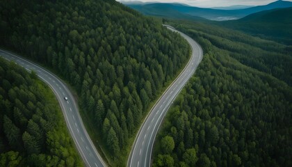 Winding Road Through Lush Green Forest