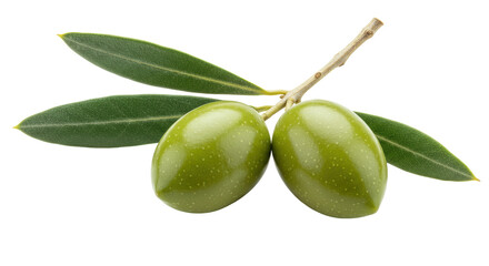 Isolated Fresh Green Olives with Leaves