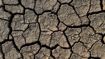 Dry Cracked Earth Texture: A detailed close-up shot revealing the intricate network of cracks in...
