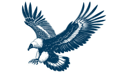 bearded vulture vector