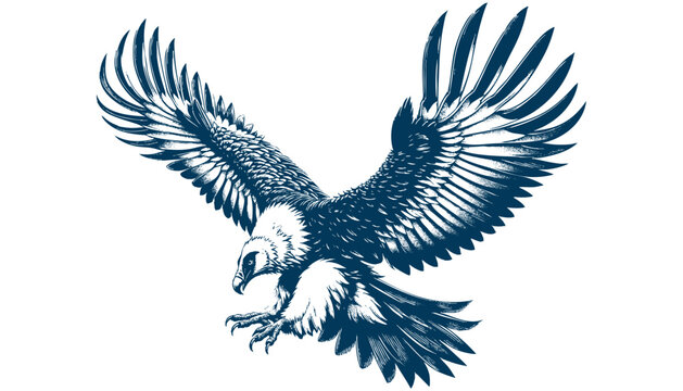 bearded vulture vector