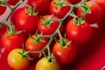Fresh red cherry tomato on red background.