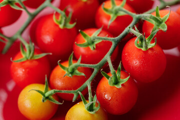 Fresh red cherry tomato on red background.