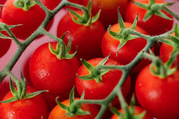 Fresh red cherry tomato on red background.